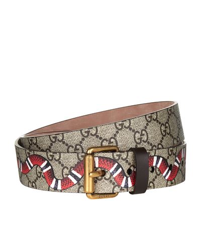 snake gucci belt